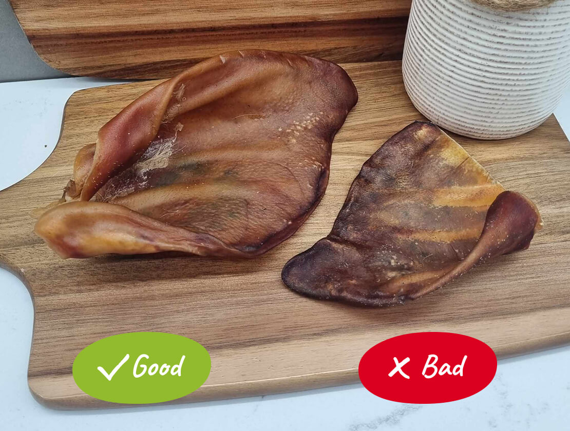Example of a good 'large' pig ear and a bad 'so called large' pig ear.