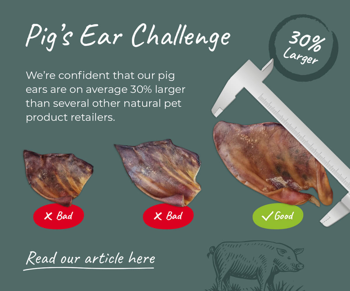 Pig's Ear Challenge.