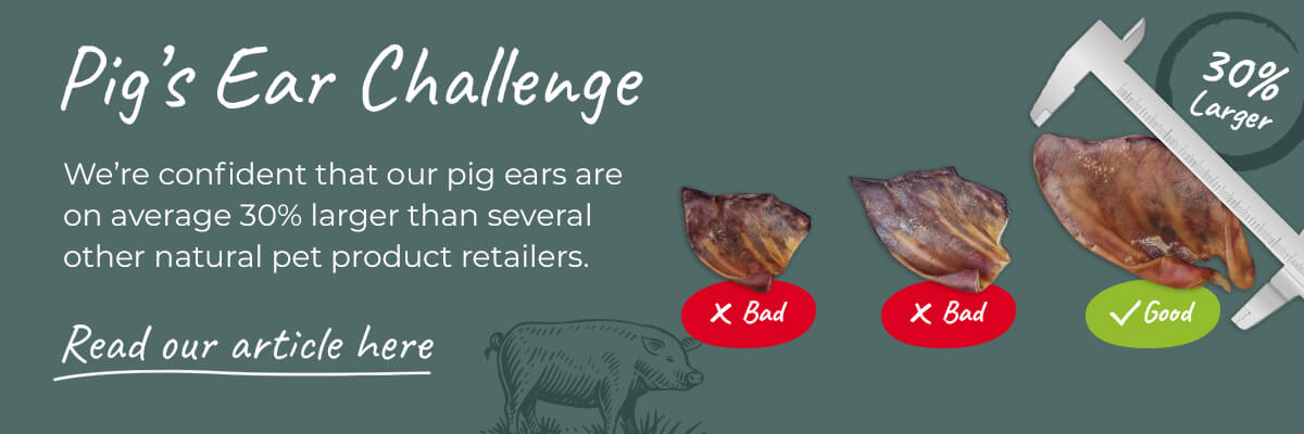 Pig's Ear Challenge.